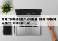 黑龙江网站建设推广公司排名（黑龙江网站建设推广公司排名前十名）