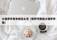 小程序开发文档怎么写（如何写微信小程序开发）