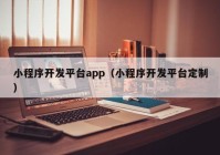 小程序开发平台app（小程序开发平台定制）