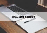 肇庆seo优化的简单介绍