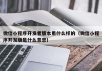 微信小程序开发者版本用什么样的（微信小程序开发版是什么意思）