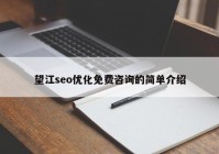 望江seo优化免费咨询的简单介绍