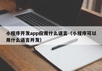 小程序开发app应用什么语言（小程序可以用什么语言开发）