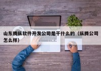 山东腾纵软件开发公司是干什么的（纵腾公司怎么样）