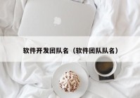 软件开发团队名（软件团队队名）