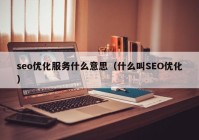 seo优化服务什么意思（什么叫SEO优化）