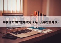 学软件开发好还编成好（为什么学软件开发）