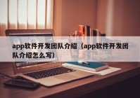 app软件开发团队介绍（app软件开发团队介绍怎么写）