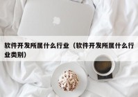 软件开发所属什么行业（软件开发所属什么行业类别）