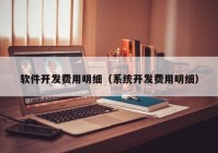 软件开发费用明细（系统开发费用明细）