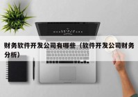 财务软件开发公司有哪些（软件开发公司财务分析）