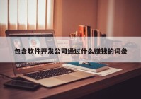 包含软件开发公司通过什么赚钱的词条