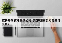 软件开发软件测试公司（软件测试公司是做什么的）