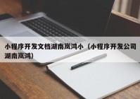 小程序开发文档湖南岚鸿小（小程序开发公司湖南岚鸿）