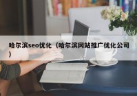 哈尔滨seo优化（哈尔滨网站推广优化公司）