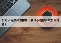 公司小程序开发排名（腾讯小程序开发公司排名）