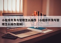 小程序开发与管理怎么操作（小程序开发与管理怎么操作视频）