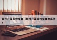 软件开发宣传文案（软件开发宣传文案怎么写）