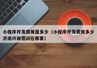 小程序开发费用是多少（小程序开发费用多少济南兴田德润在那里）