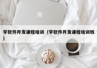 学软件开发课程培训（学软件开发课程培训班）