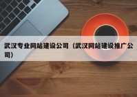 武汉专业网站建设公司（武汉网站建设推广公司）