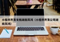 小程序开发文档湖南岚鸿（小程序开发公司湖南岚鸿）