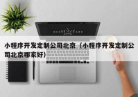 小程序开发定制公司北京（小程序开发定制公司北京哪家好）