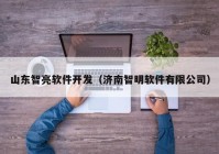 山东智亮软件开发（济南智明软件有限公司）