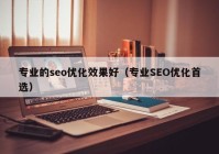 专业的seo优化效果好（专业SEO优化首选）