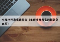 小程序开发实践报告（小程序开发实践报告怎么写）