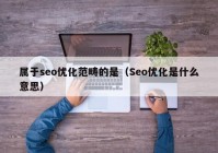 属于seo优化范畴的是（Seo优化是什么意思）