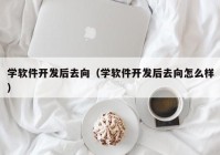 学软件开发后去向（学软件开发后去向怎么样）