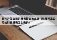 软件开发公司的财务报表怎么做（软件开发公司的财务报表怎么做的）