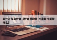 软件开发靠什么（什么是软件 开发软件是做什么）