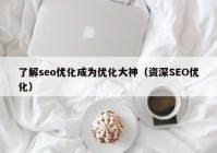 了解seo优化成为优化大神（资深SEO优化）