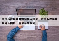 微信小程序开发如何导入图片（微信小程序开发导入图片一直显示未找到）