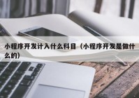 小程序开发计入什么科目（小程序开发是做什么的）