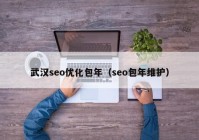 武汉seo优化包年（seo包年维护）