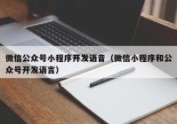 微信公众号小程序开发语音（微信小程序和公众号开发语言）