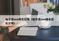 哈尔滨seo优化公司（哈尔滨seo排名优化公司）