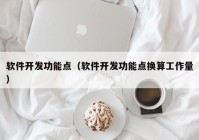 软件开发功能点（软件开发功能点换算工作量）