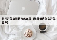 软件开发公司销售怎么做（软件销售怎么开发客户）