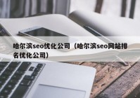 哈尔滨seo优化公司（哈尔滨seo网站排名优化公司）