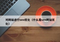 对网站进行seo优化（什么是seo网站优化）