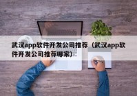 武汉app软件开发公司推荐（武汉app软件开发公司推荐哪家）