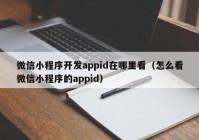 微信小程序开发appid在哪里看（怎么看微信小程序的appid）