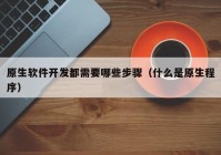 原生软件开发都需要哪些步骤（什么是原生程序）