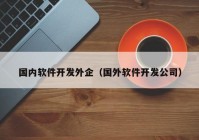 国内软件开发外企（国外软件开发公司）