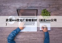 武汉seo优化厂家哪家好（湖北seo公司）